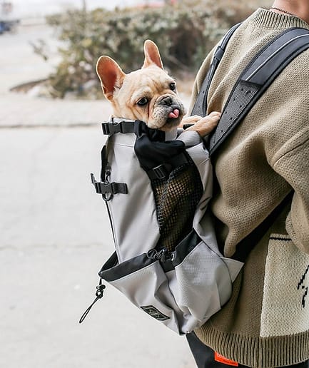 Pet Dog Carrier Bag Carrier For Dogs Backpack Out Double Shoulder Portable Travel Backpack Outdoor Dog Carrier Bag Travel